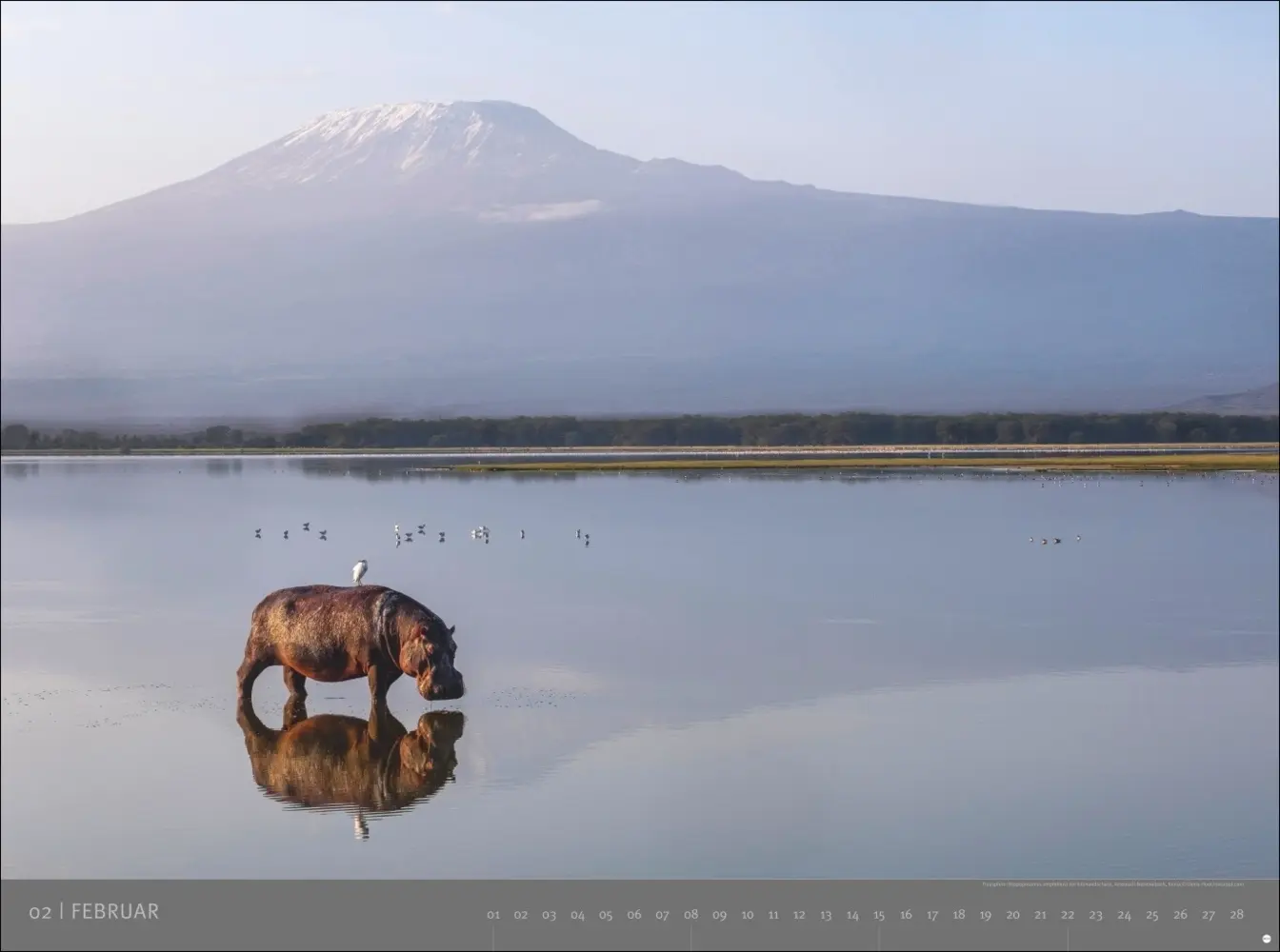 Bild: 9783756410545 | Afrika - Edition Alexander von Humboldt Kalender 2026 | Kalender