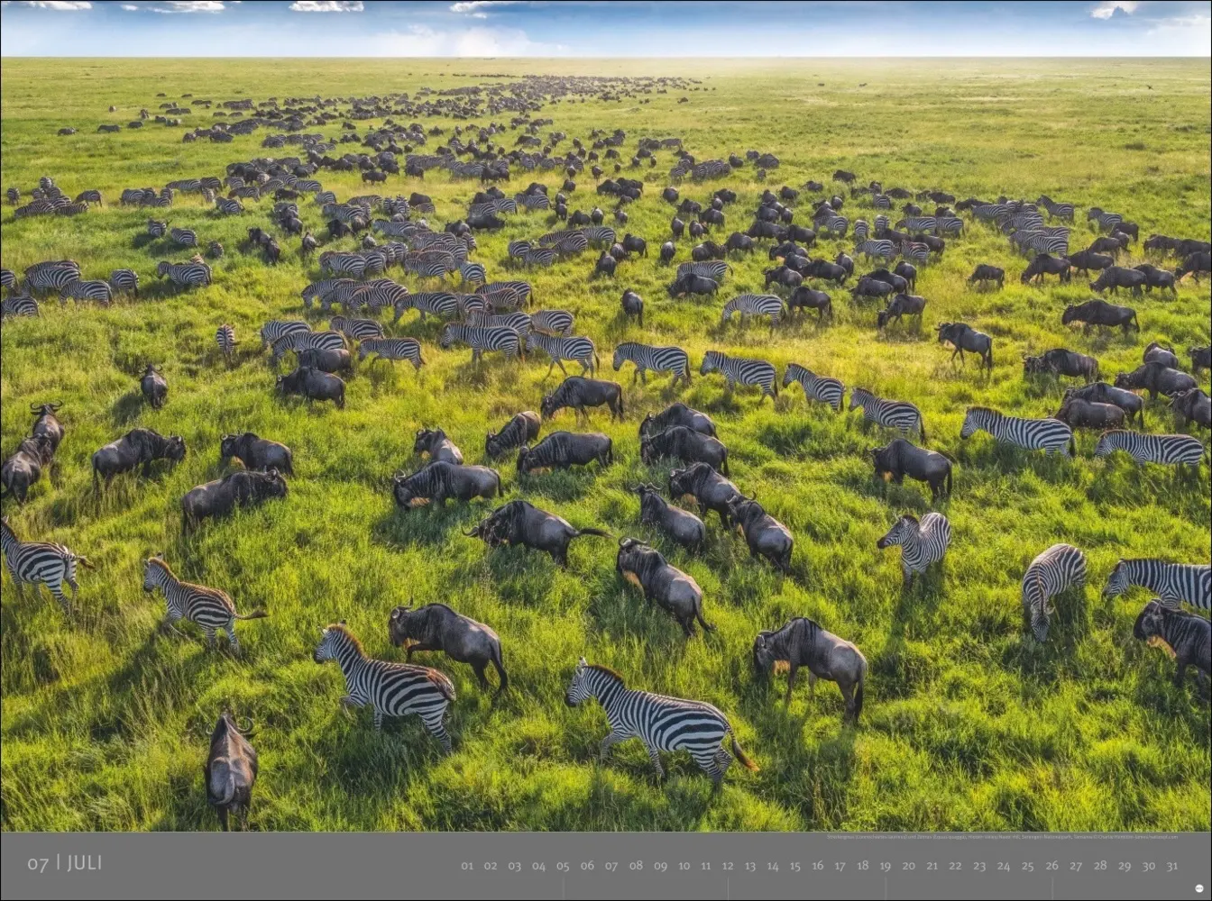 Bild: 9783756410545 | Afrika - Edition Alexander von Humboldt Kalender 2026 | Kalender