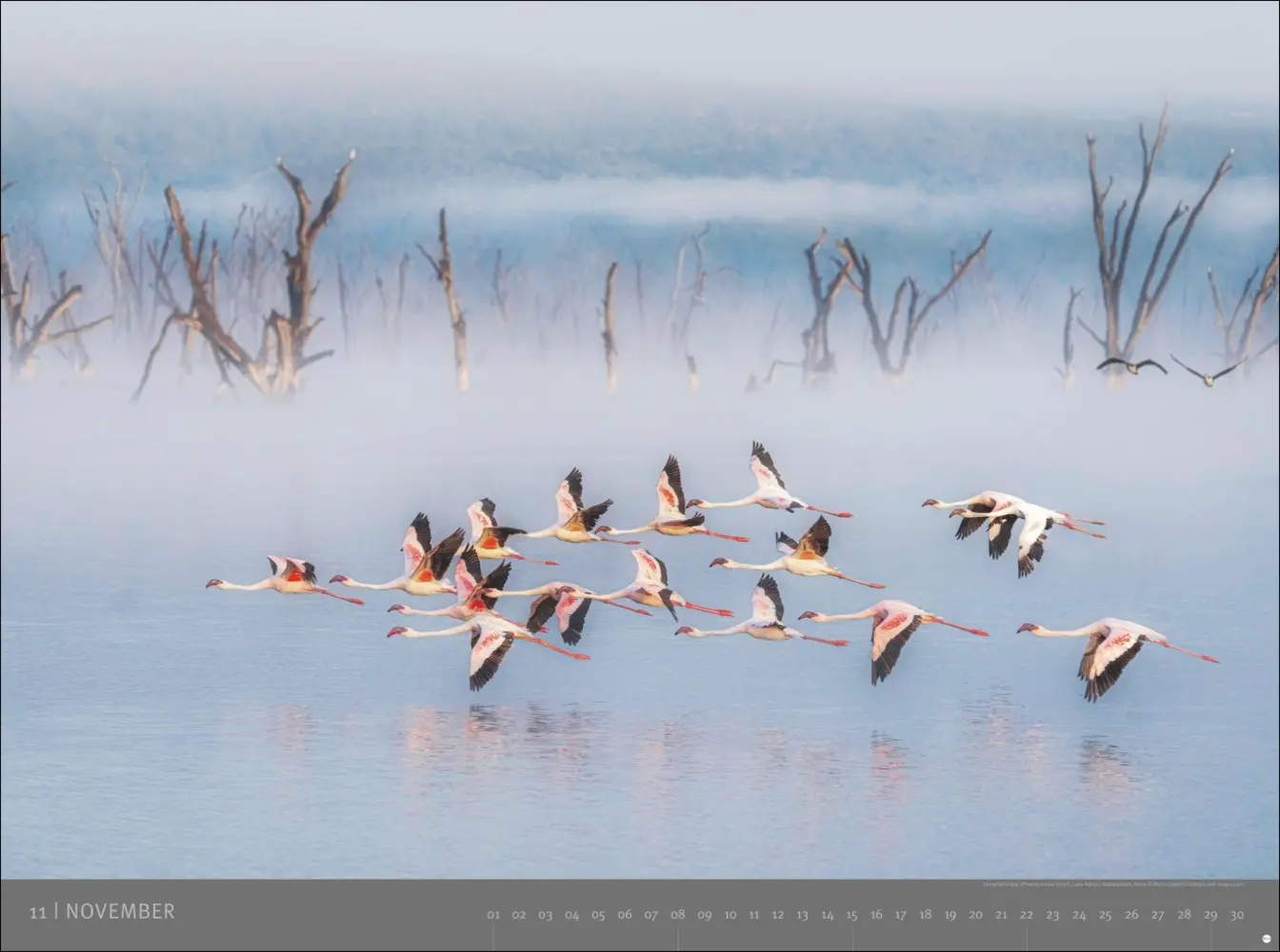 Bild: 9783756410545 | Afrika - Edition Alexander von Humboldt Kalender 2026 | Kalender