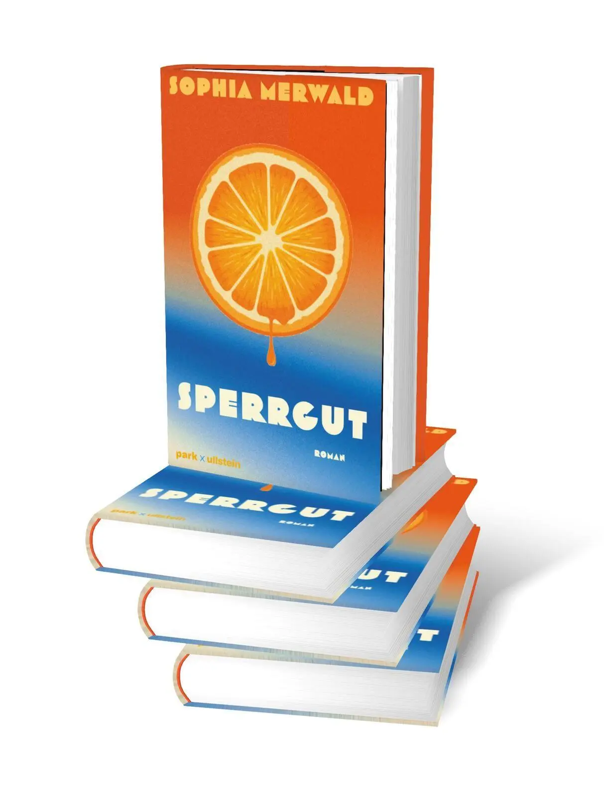 Bild: 9783988160645 | Sperrgut | Sophia Merwald | Buch | 304 S. | Deutsch | 2026