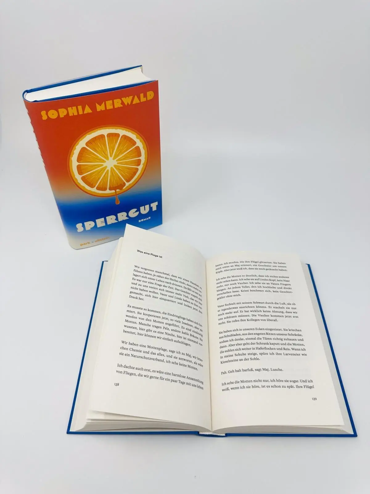 Bild: 9783988160645 | Sperrgut | Sophia Merwald | Buch | 304 S. | Deutsch | 2026