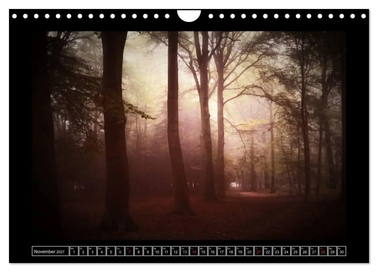 Bild: 9783569900745 | Der Reichswald bei Kleve (Wandkalender 2027 DIN A4 quer), CALVENDO...