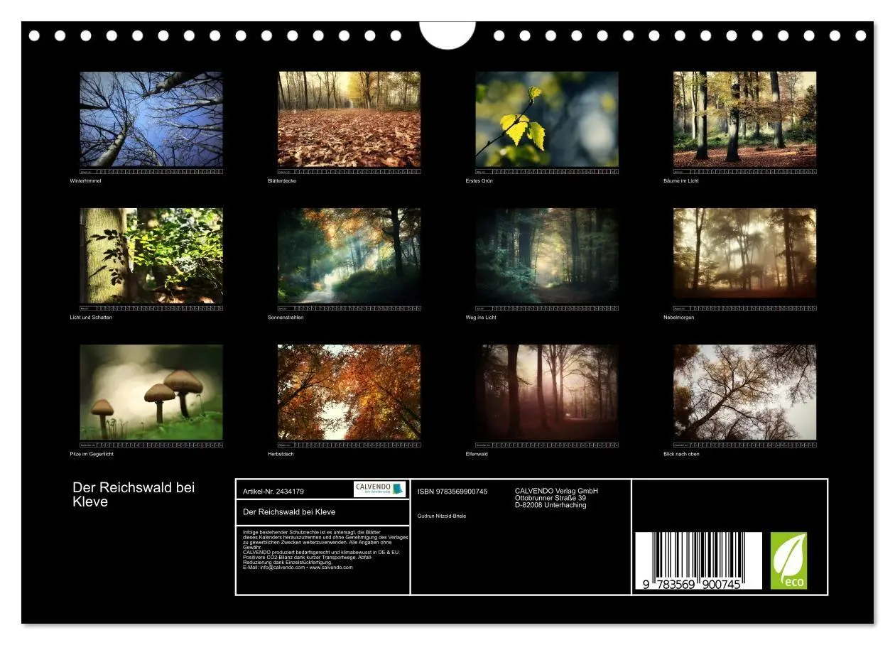 Bild: 9783569900745 | Der Reichswald bei Kleve (Wandkalender 2027 DIN A4 quer), CALVENDO...