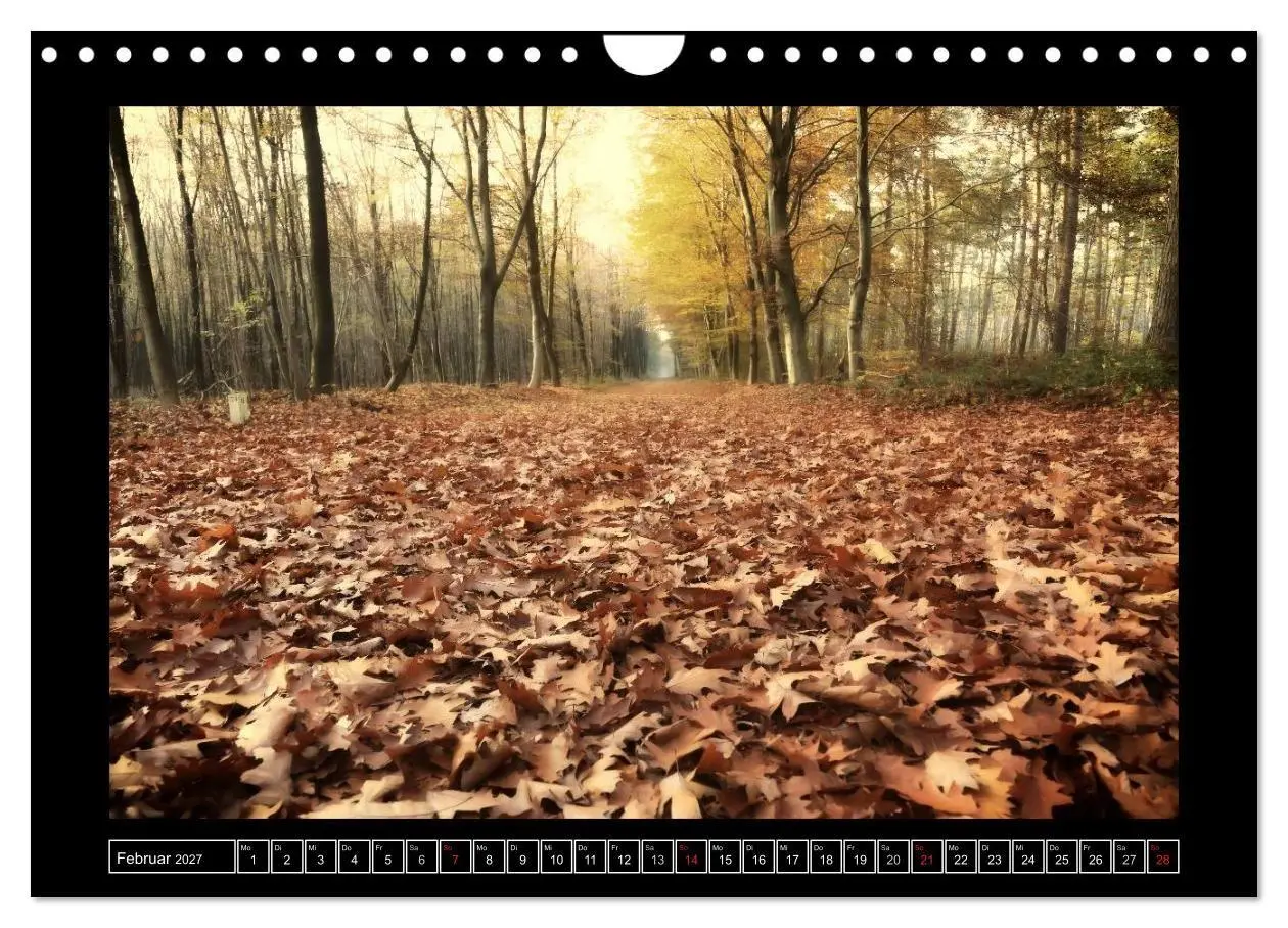 Bild: 9783569900745 | Der Reichswald bei Kleve (Wandkalender 2027 DIN A4 quer), CALVENDO...