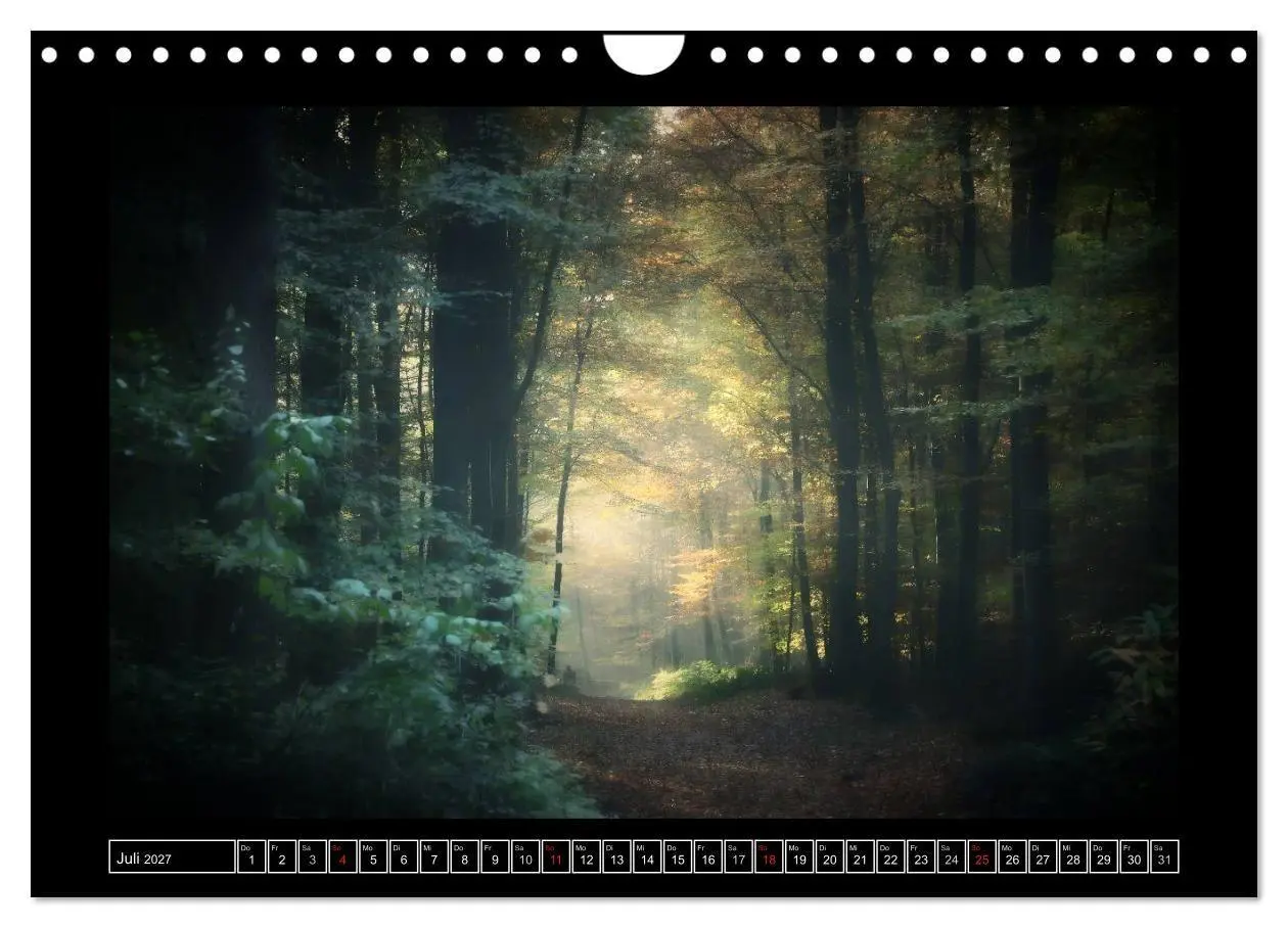 Bild: 9783569900745 | Der Reichswald bei Kleve (Wandkalender 2027 DIN A4 quer), CALVENDO...