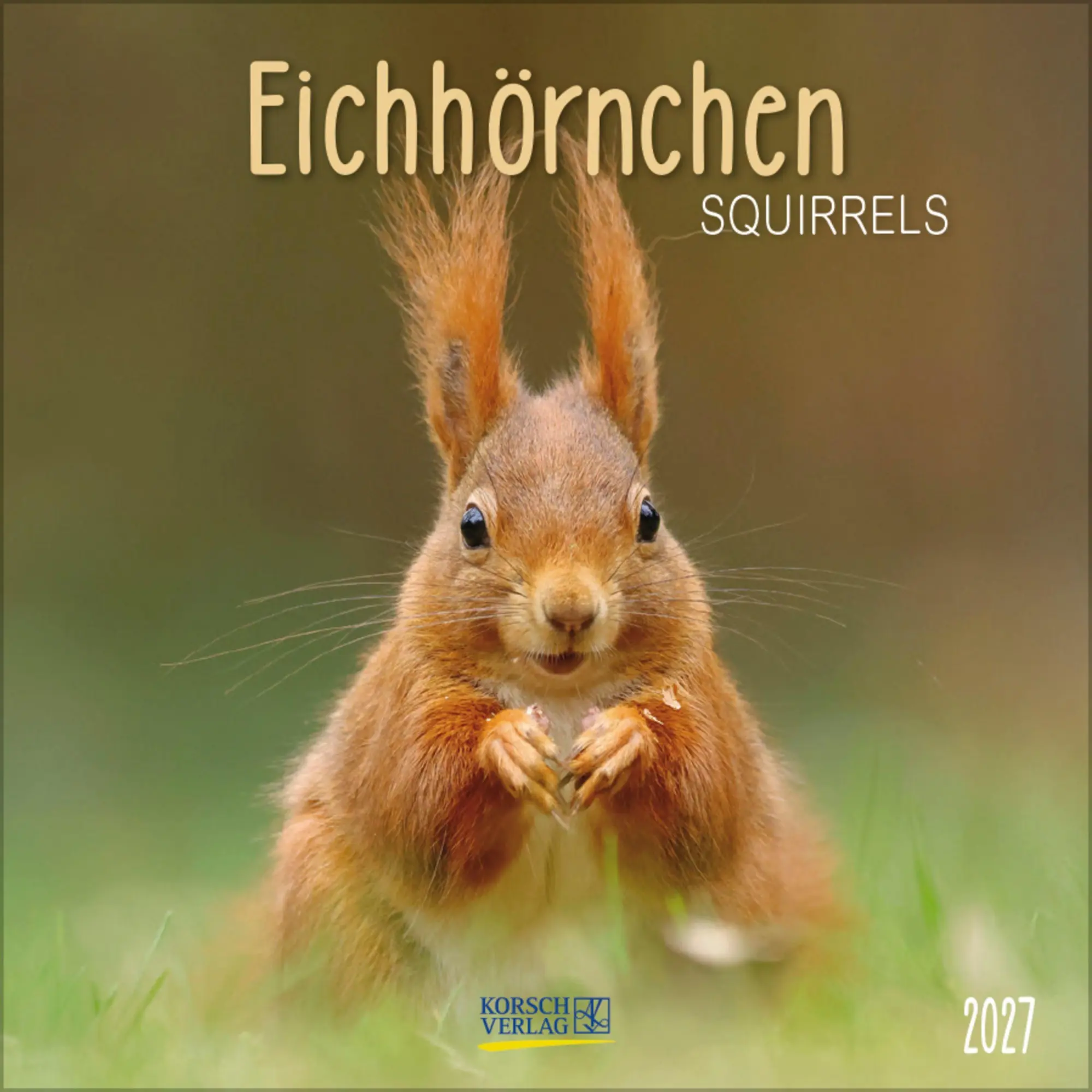 Cover: 9783819300745 | Eichhörnchen 2027 | Verlag Korsch | Kalender | 13 S. | Deutsch | 2027