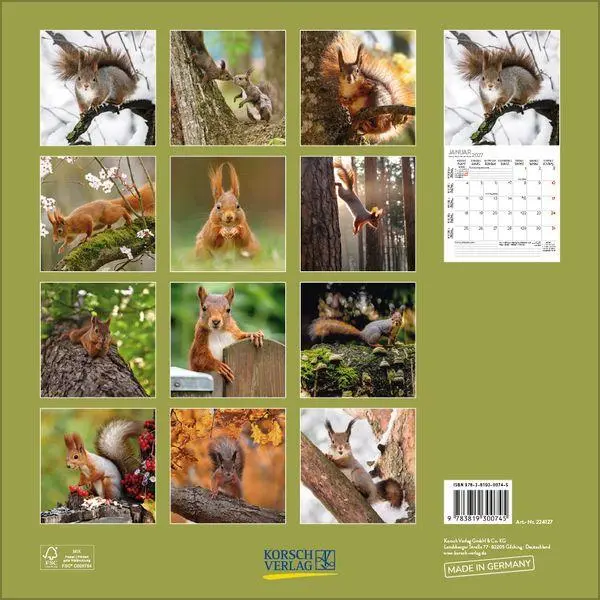 Bild: 9783819300745 | Eichhörnchen 2027 | Verlag Korsch | Kalender | 13 S. | Deutsch | 2027