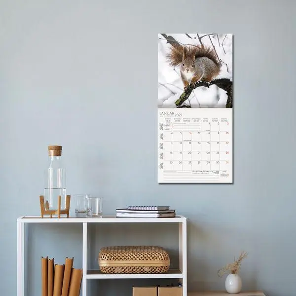 Bild: 9783819300745 | Eichhörnchen 2027 | Verlag Korsch | Kalender | 13 S. | Deutsch | 2027