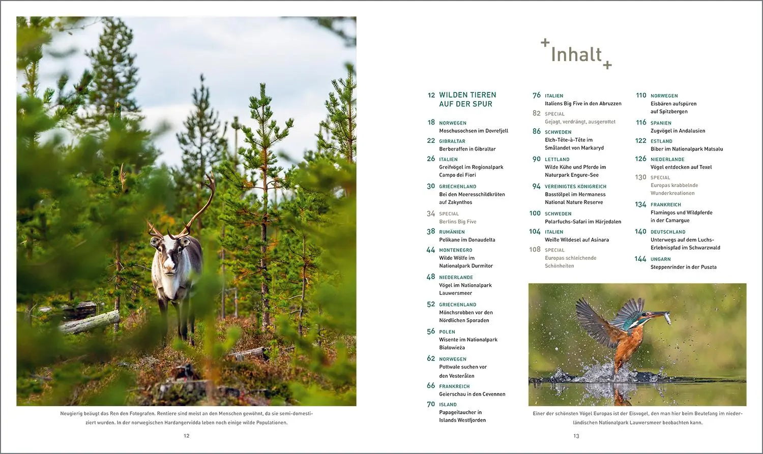 Bild: 9783969650745 | KUNTH Bildband Safari Europa | Martin H. Petrich | Buch | 352 S.
