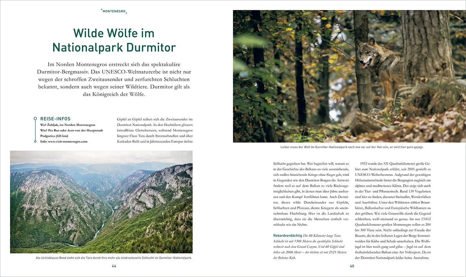 Bild: 9783969650745 | KUNTH Bildband Safari Europa | Martin H. Petrich | Buch | 352 S.