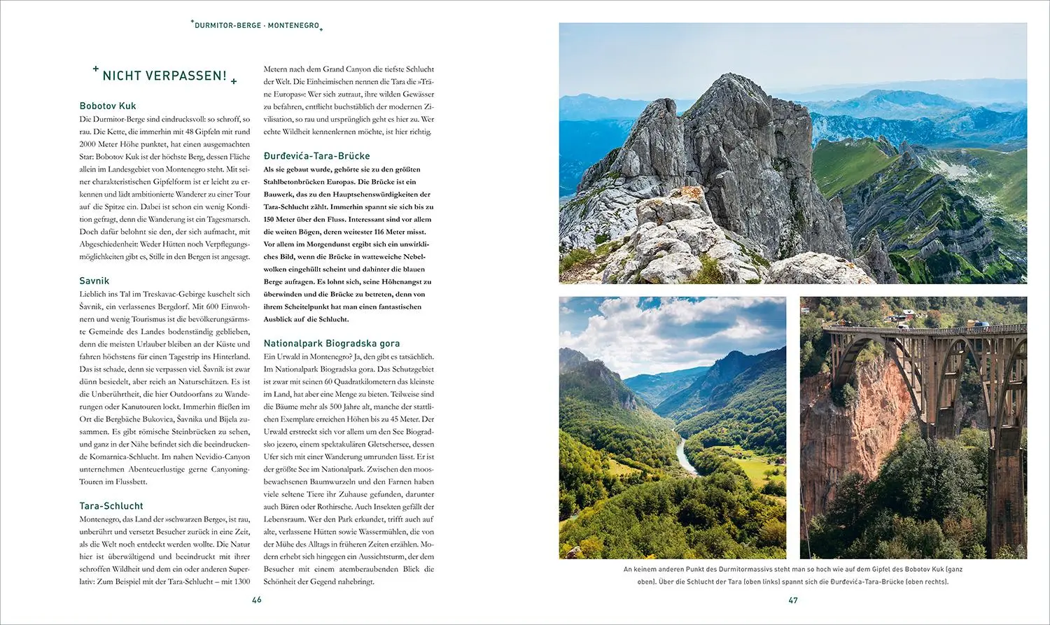 Bild: 9783969650745 | KUNTH Bildband Safari Europa | Martin H. Petrich | Buch | 352 S.