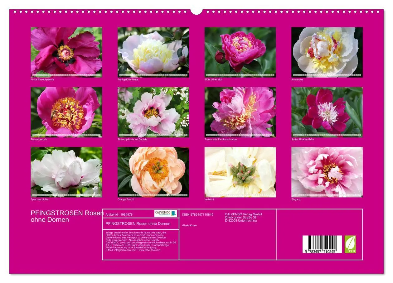 Bild: 9783457710845 | PFINGSTROSEN Rosen ohne Dornen (hochwertiger Premium Wandkalender...