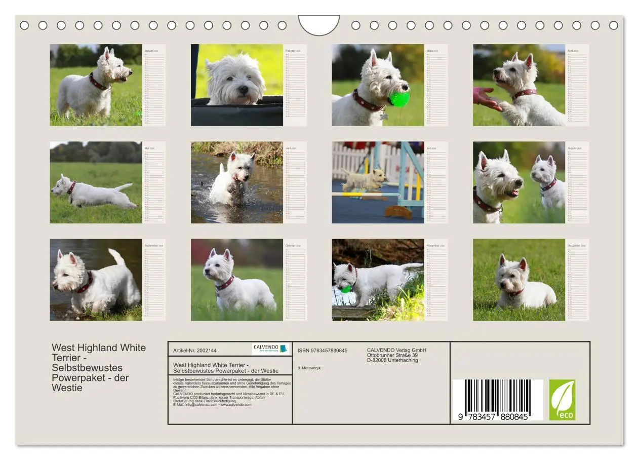 Bild: 9783457880845 | West Highland White Terrier - Selbstbewustes Powerpaket - der...