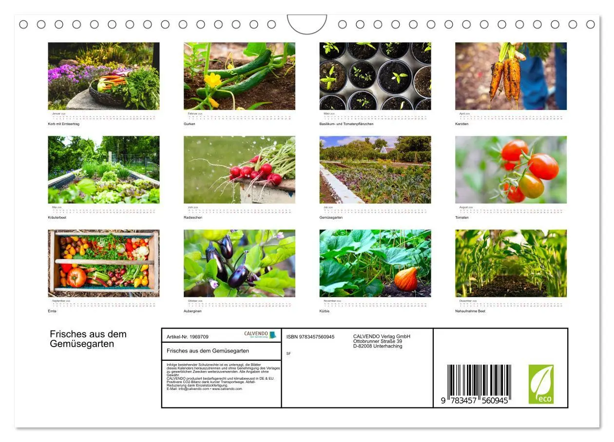 Bild: 9783457560945 | Frisches aus dem Gemüsegarten (Wandkalender 2026 DIN A4 quer),...