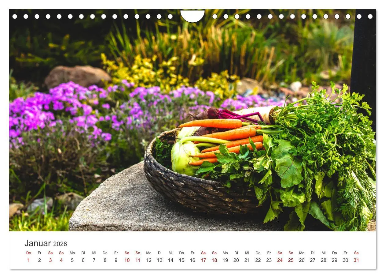 Bild: 9783457560945 | Frisches aus dem Gemüsegarten (Wandkalender 2026 DIN A4 quer),...