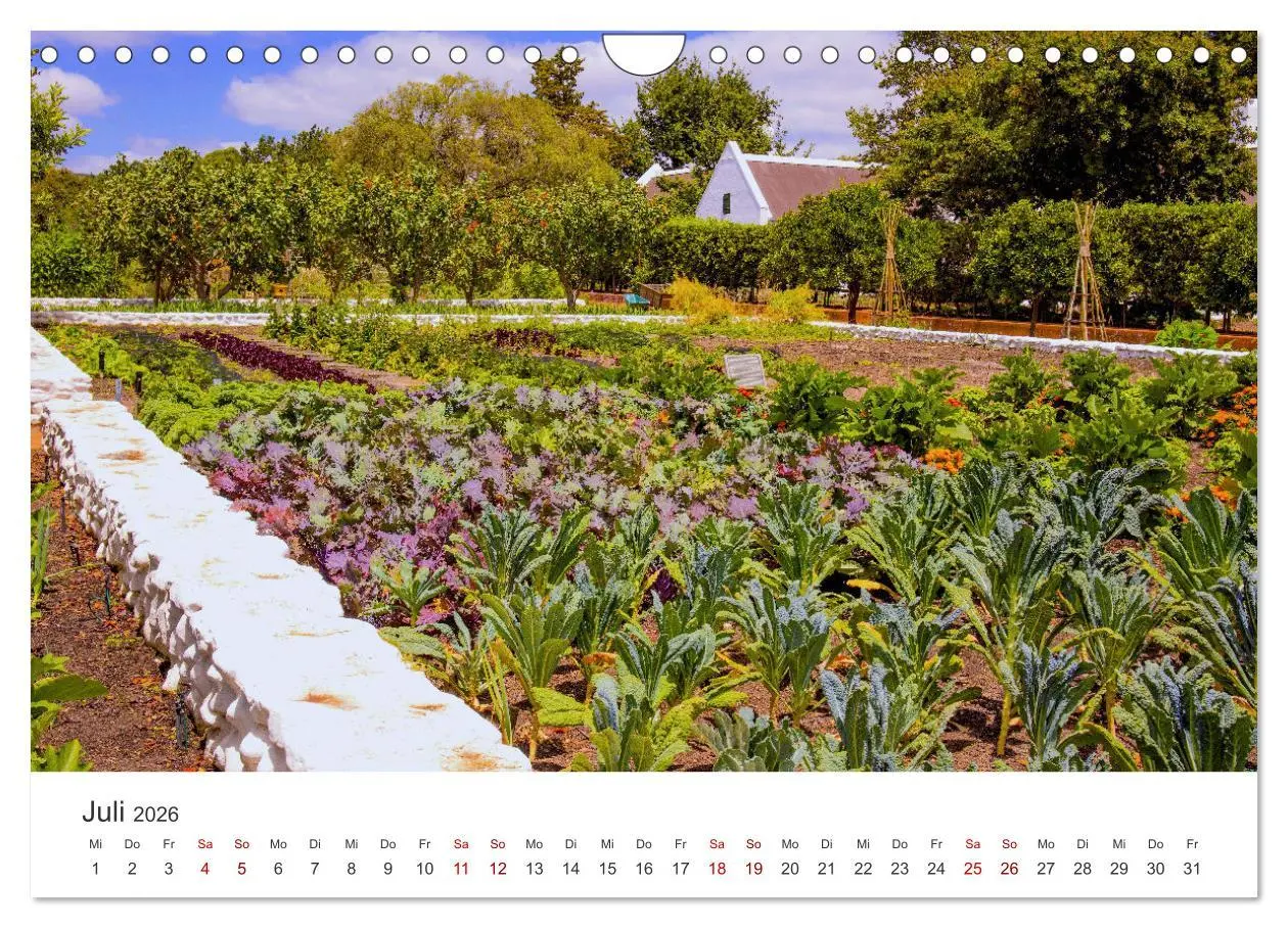 Bild: 9783457560945 | Frisches aus dem Gemüsegarten (Wandkalender 2026 DIN A4 quer),...