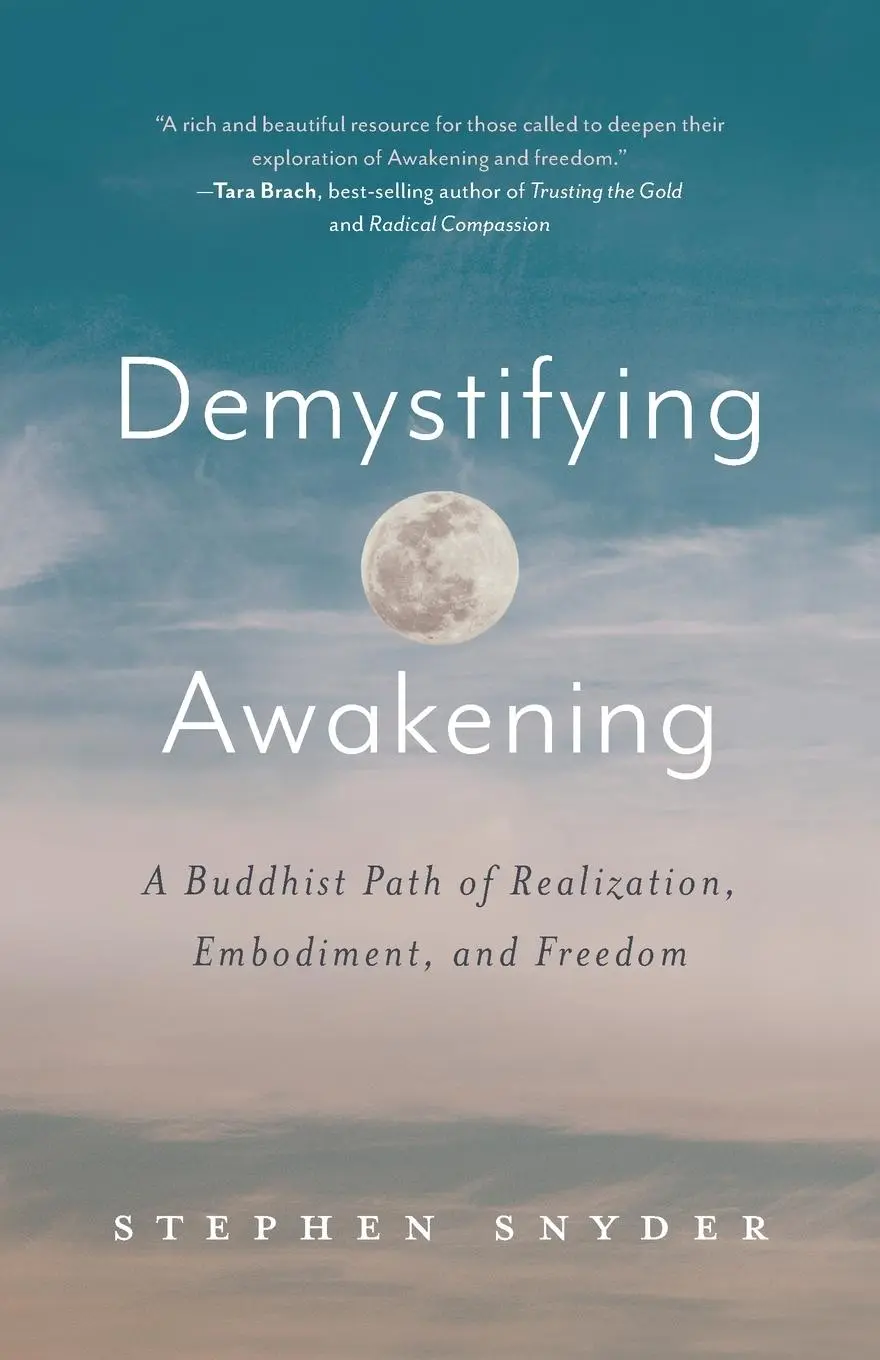 Cover: 9781734781045 | Demystifying Awakening | Stephen Snyder | Taschenbuch | Englisch