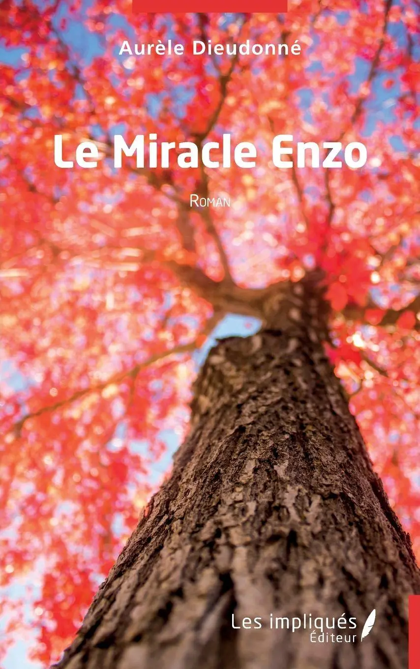 Cover: 9791042801045 | Le Miracle Enzo | Aurèle Dieudonné | Taschenbuch | Französisch | 2024