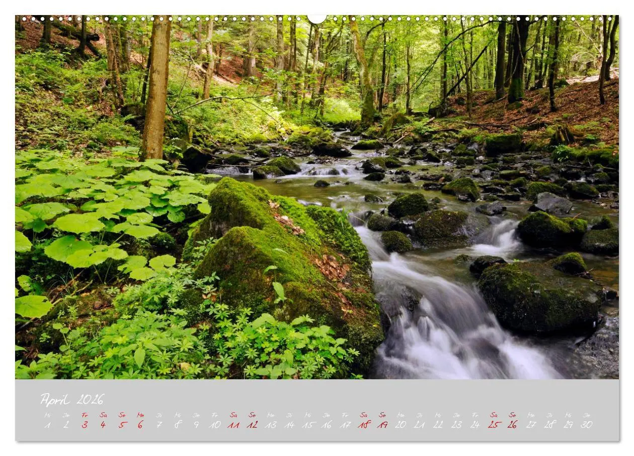 Bild: 9783457681145 | Thüringer Wald Das Grüne Herz Deutschlands (hochwertiger Premium...