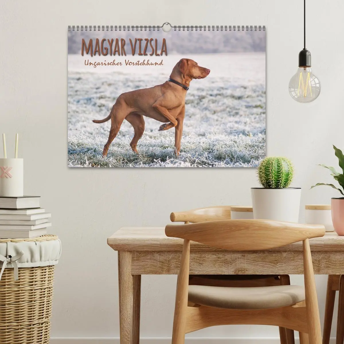 Bild: 9783457821145 | Magyar Vizsla - Ungarischer Vorstehhund (Wandkalender 2026 DIN A3...