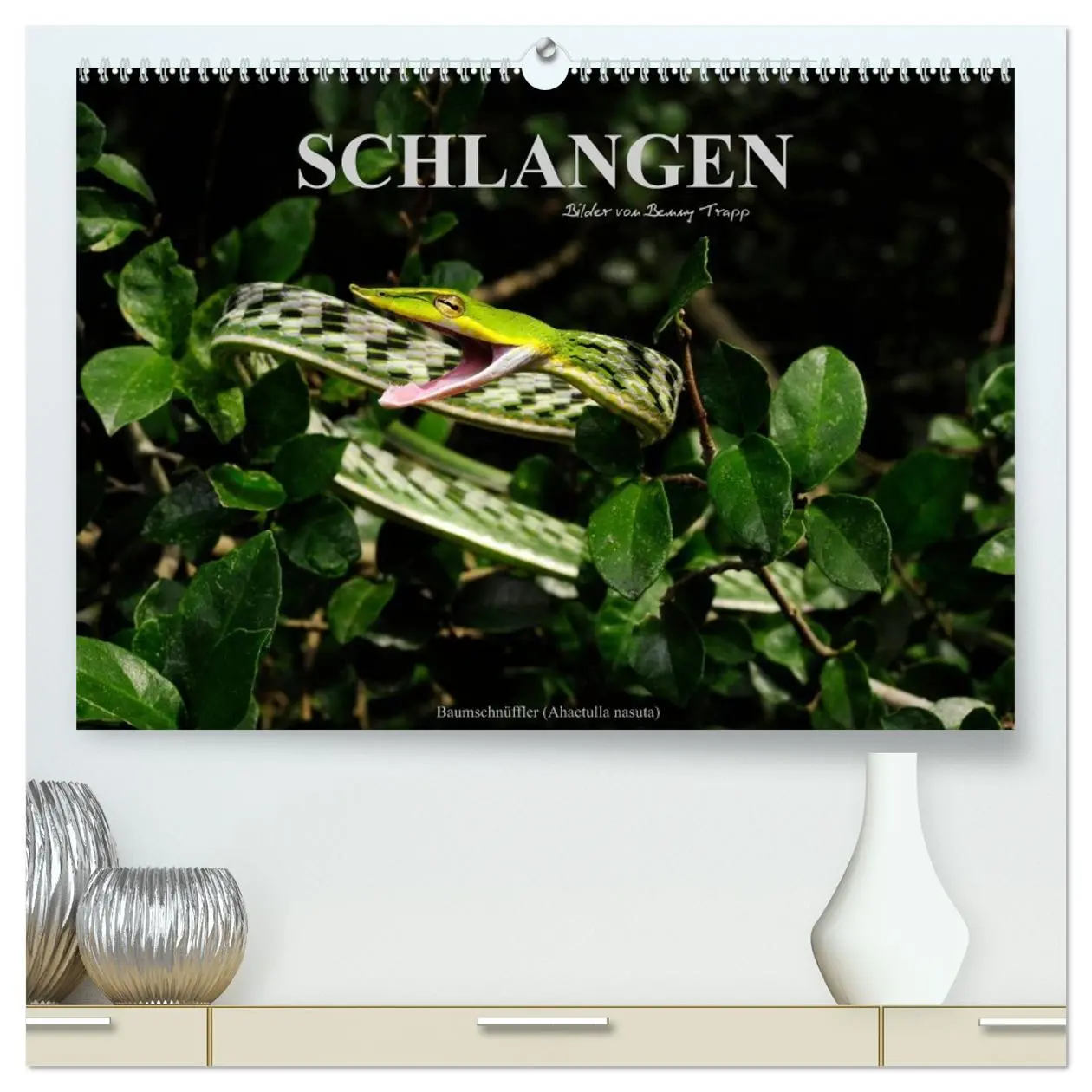 Cover: 9783516151145 | Schlangen (hochwertiger Premium Wandkalender 2026 DIN A2 quer),...