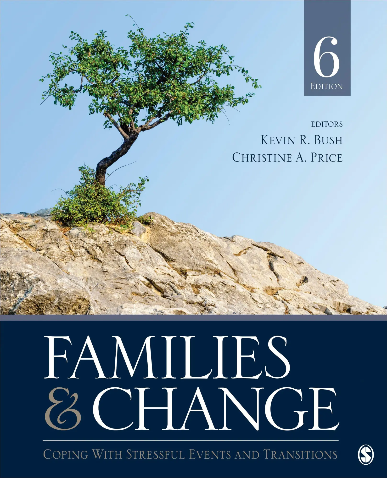 Cover: 9781544371245 | Families &amp; Change | Coping with Stressful Events and Transitions