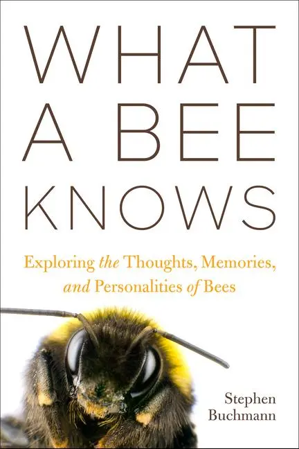 Cover: 9781642831245 | What a Bee Knows | Stephen L Buchmann | Buch | Gebunden | Englisch