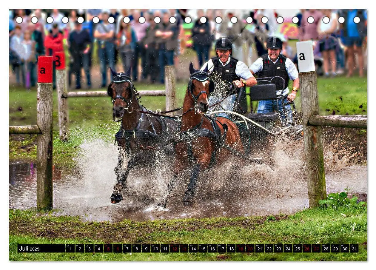 Bild: 9783435331345 | Fahrpferde in Aktion (Tischkalender 2025 DIN A5 quer), CALVENDO...