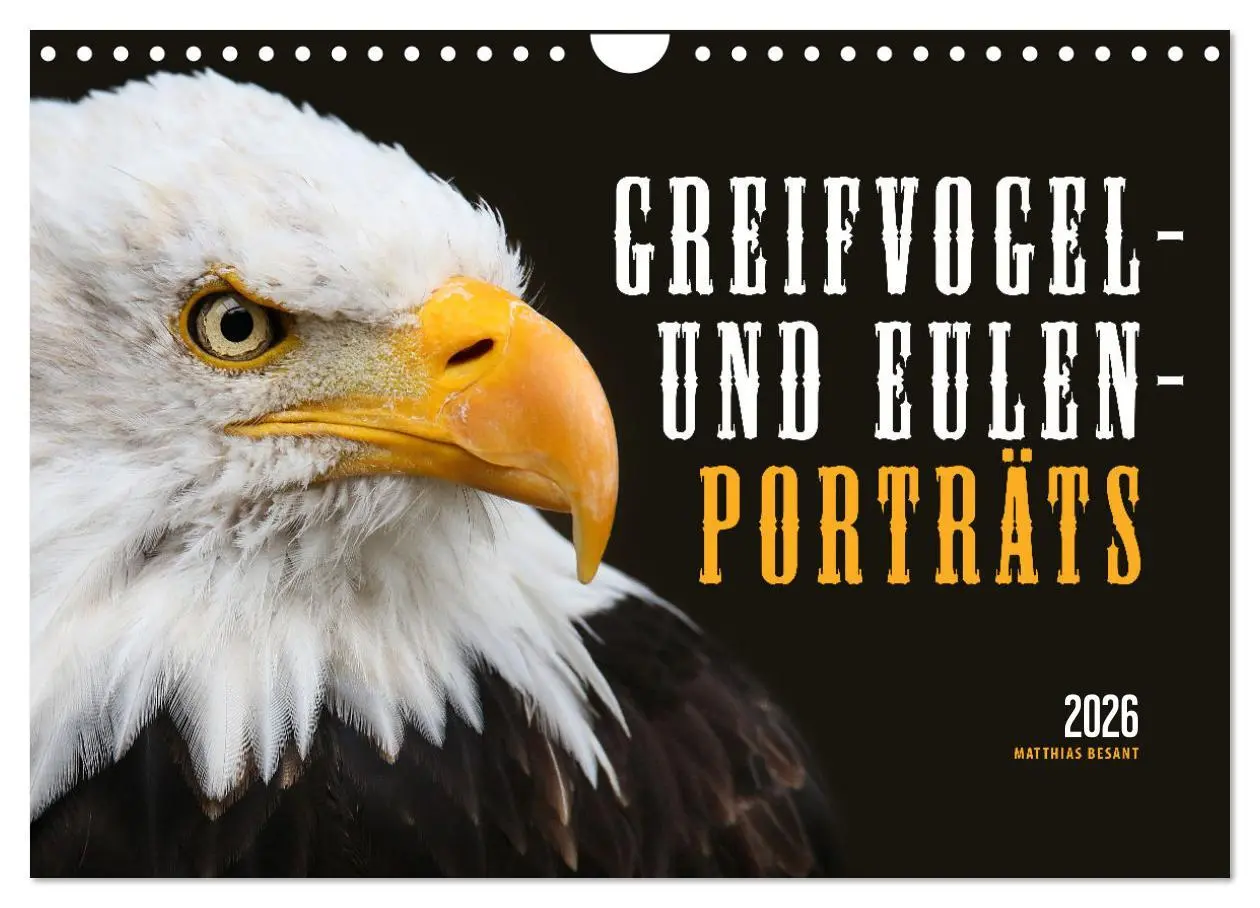 Cover: 9783457801345 | GREIFVOGEL- UND EULENPORTRÄTS (Wandkalender 2026 DIN A4 quer),...