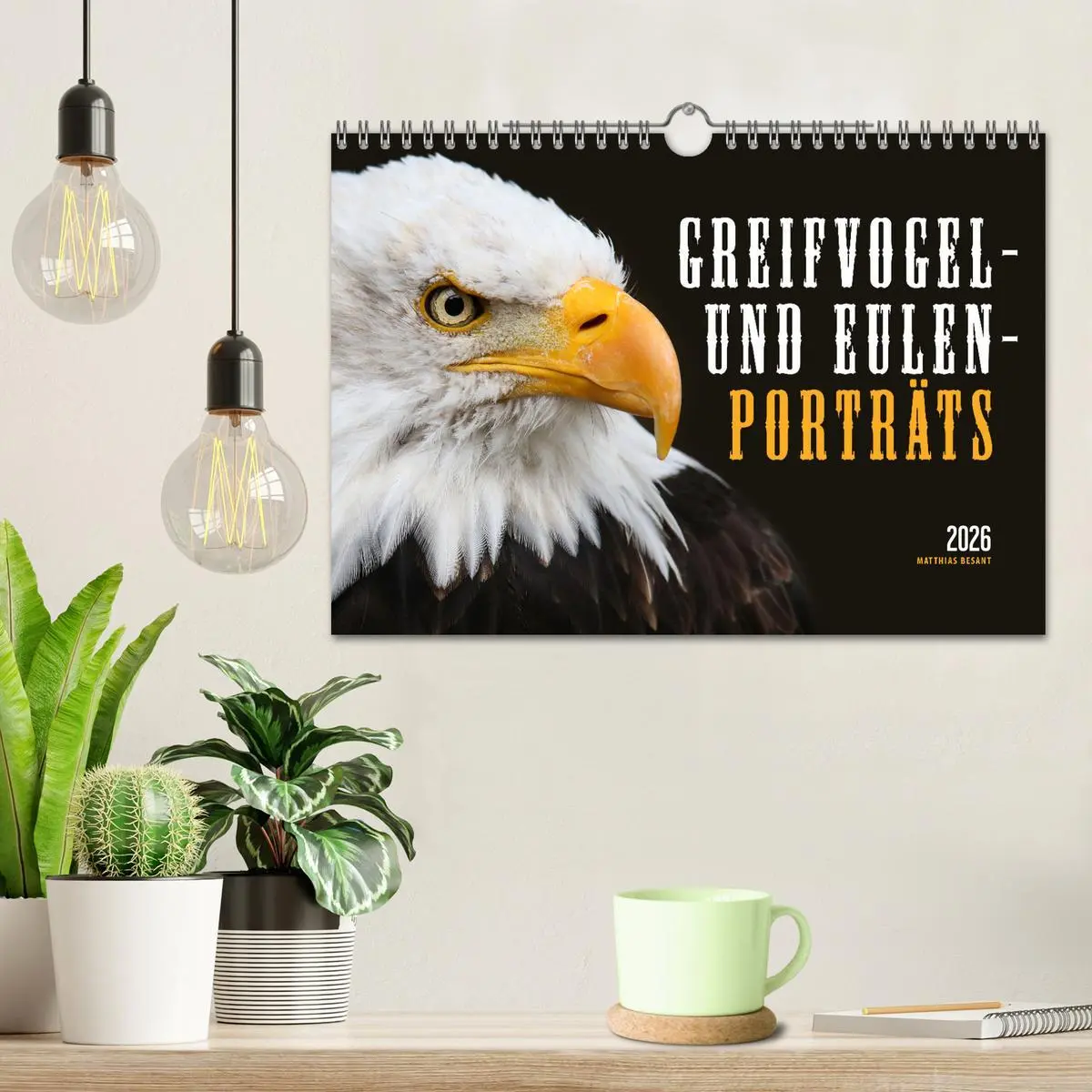 Bild: 9783457801345 | GREIFVOGEL- UND EULENPORTRÄTS (Wandkalender 2026 DIN A4 quer),...