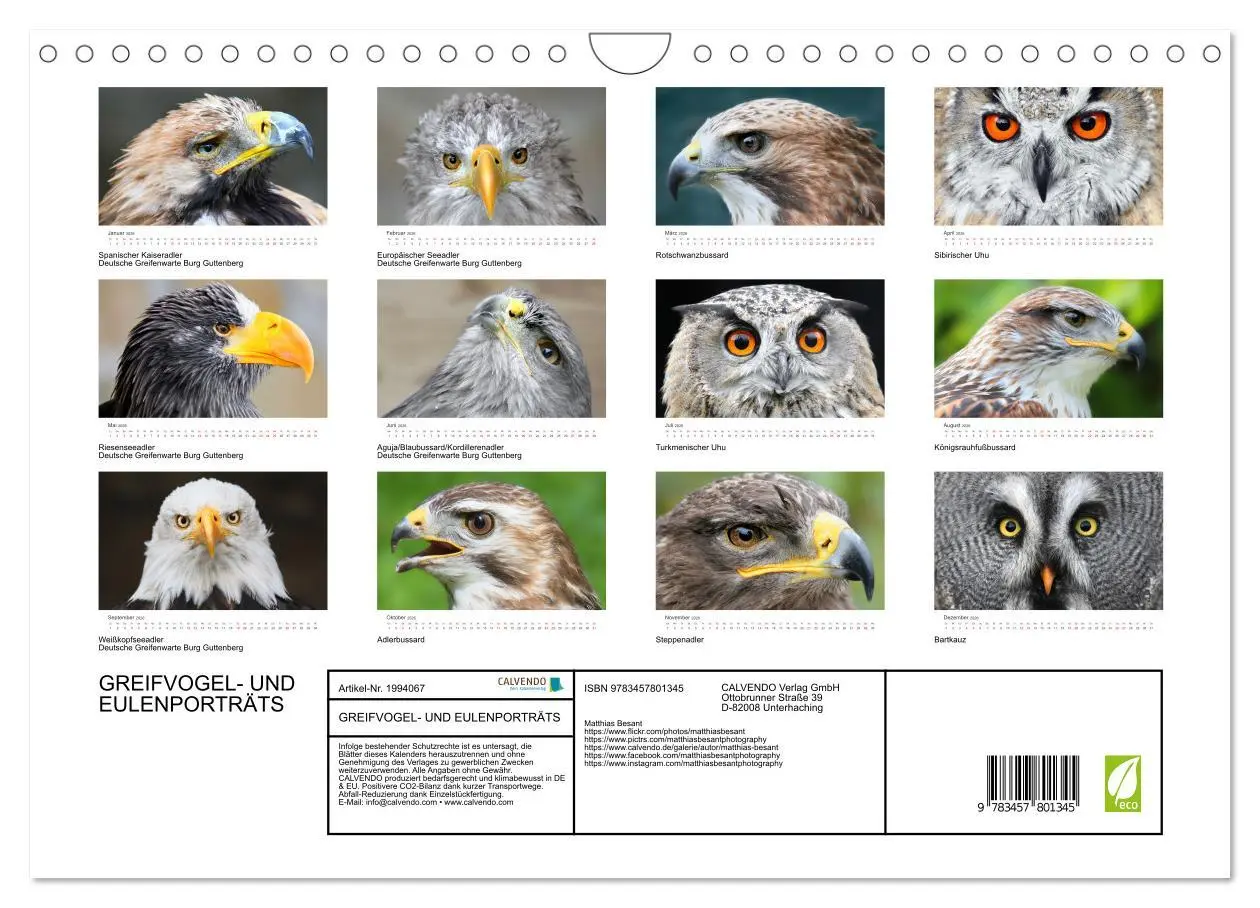 Bild: 9783457801345 | GREIFVOGEL- UND EULENPORTRÄTS (Wandkalender 2026 DIN A4 quer),...