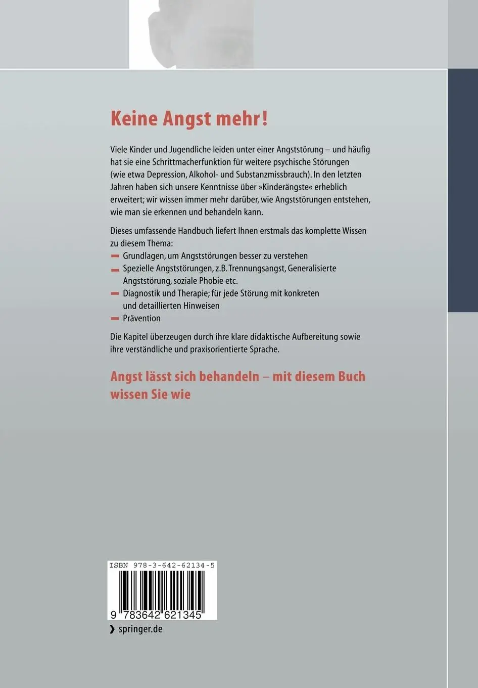 Rückseite: 9783642621345 | Angststörungen bei Kindern und Jugendlichen | Silvia Schneider | Buch