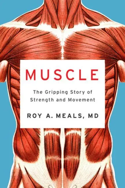 Cover: 9781324021445 | Muscle | The Gripping Story of Strength and Movement | Roy A Meals