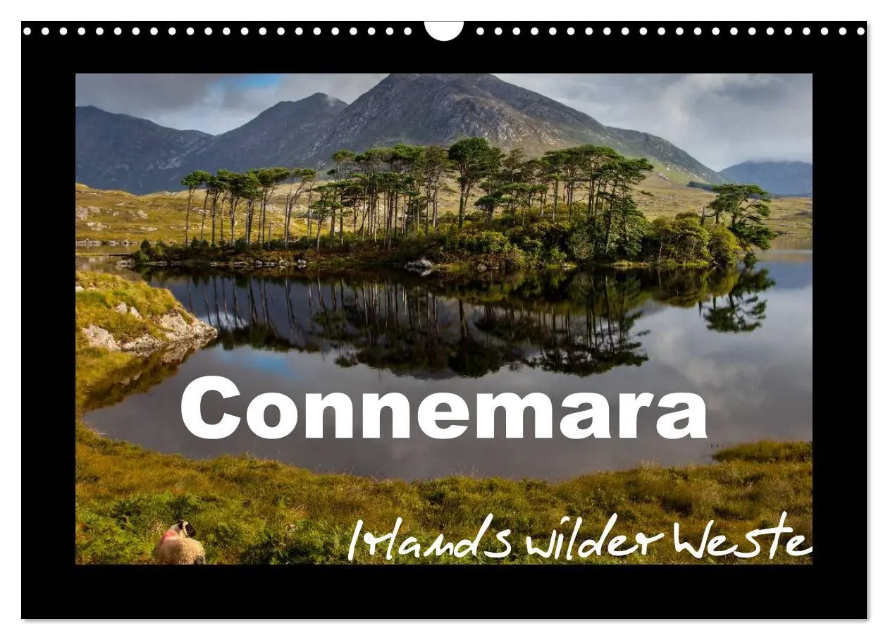 Cover: 9783516121445 | Connemara - Irlands wilder Westen (Wandkalender 2026 DIN A3 quer),...