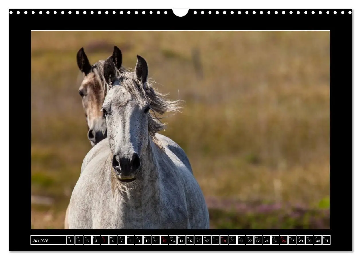 Bild: 9783516121445 | Connemara - Irlands wilder Westen (Wandkalender 2026 DIN A3 quer),...