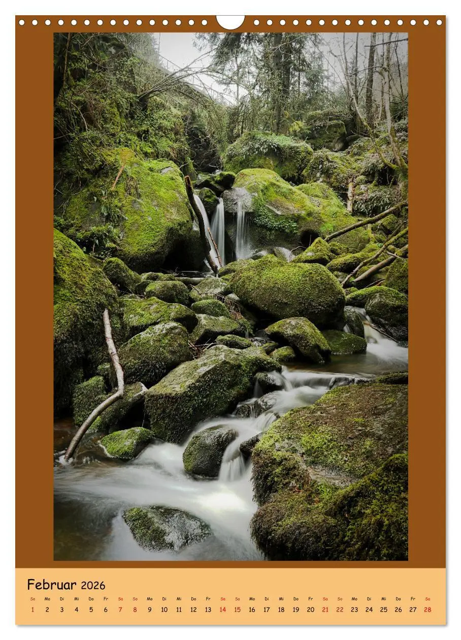 Bild: 9783516361445 | Schwarzwald Wasserfälle (Wandkalender 2026 DIN A3 hoch), CALVENDO...