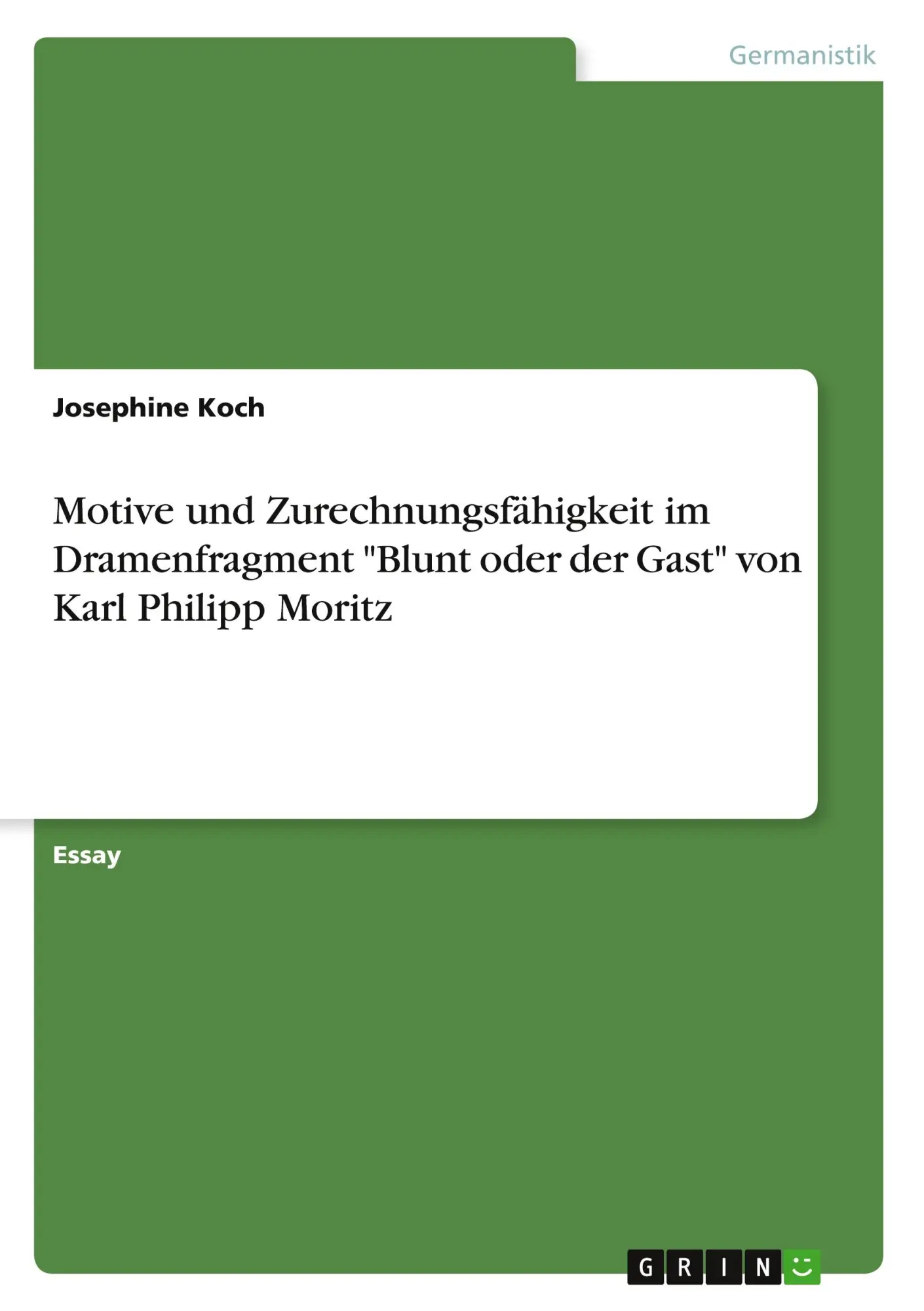 Cover: 9783668521445 | Motive und Zurechnungsfähigkeit im Dramenfragment "Blunt oder der...