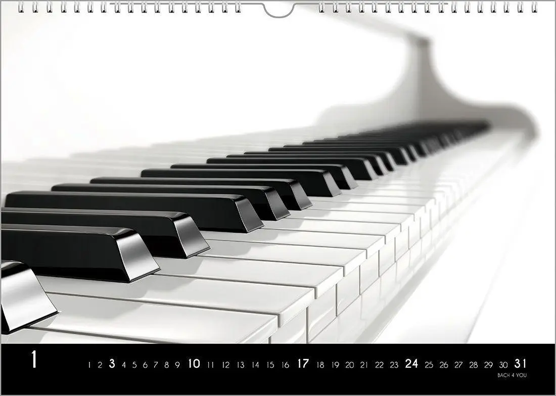 Bild: 9783969031445 | Musikinstrumente, ein Musik-Kalender 2027, DIN A3 | Peter Bach Jr.