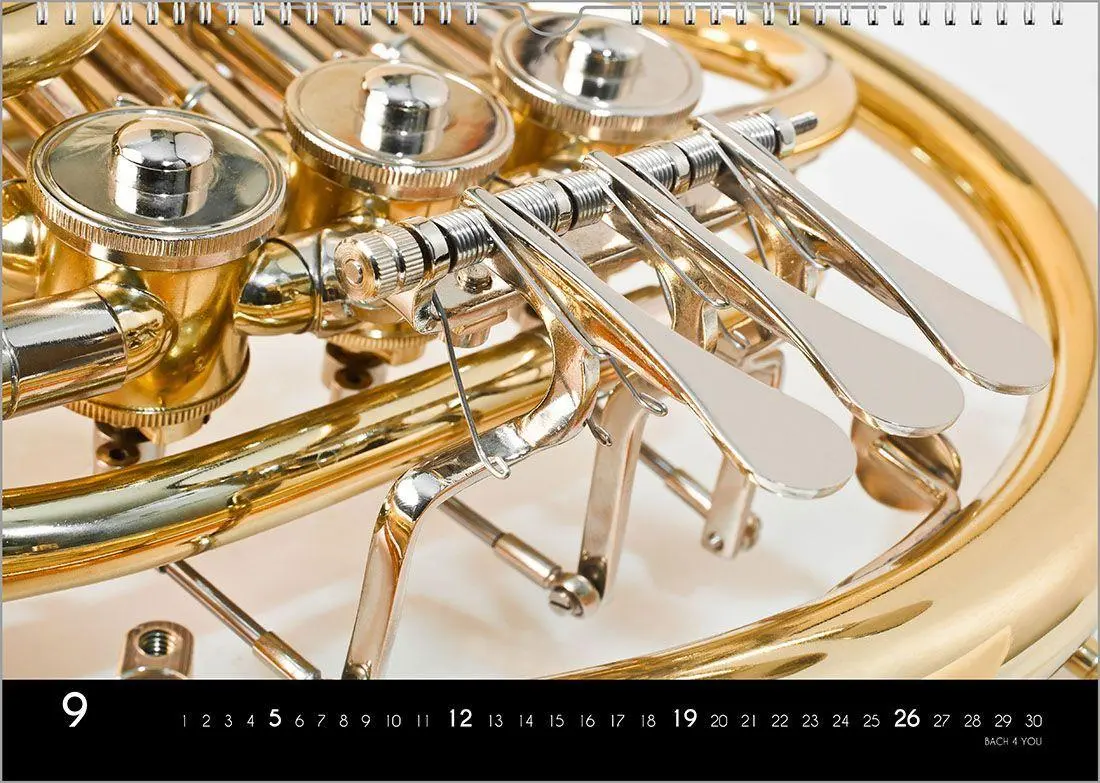 Bild: 9783969031445 | Musikinstrumente, ein Musik-Kalender 2027, DIN A3 | Peter Bach Jr.