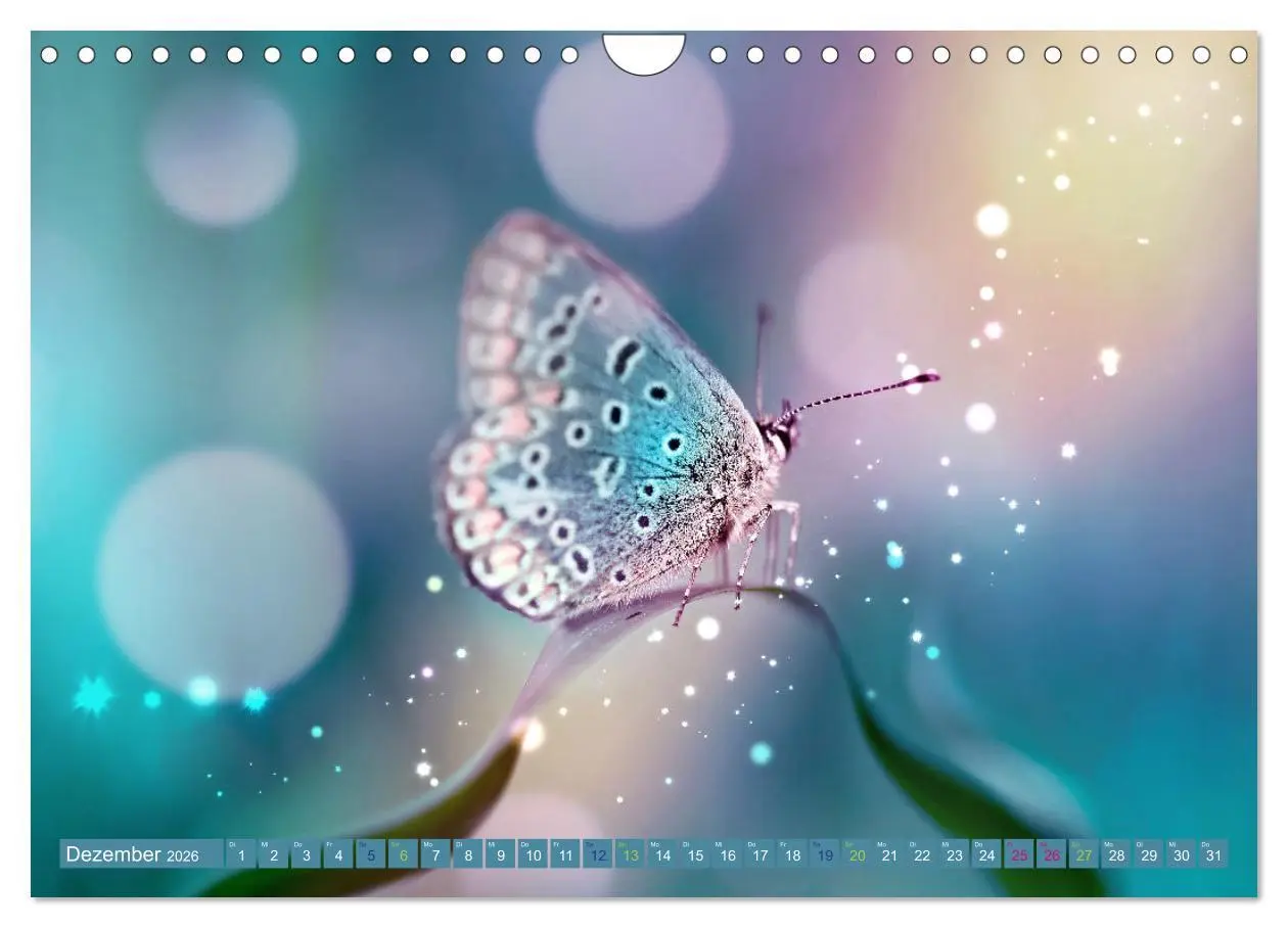 Bild: 9783457331545 | Filigrane Leichtigkeit - Schmetterlinge (Wandkalender 2026 DIN A4...
