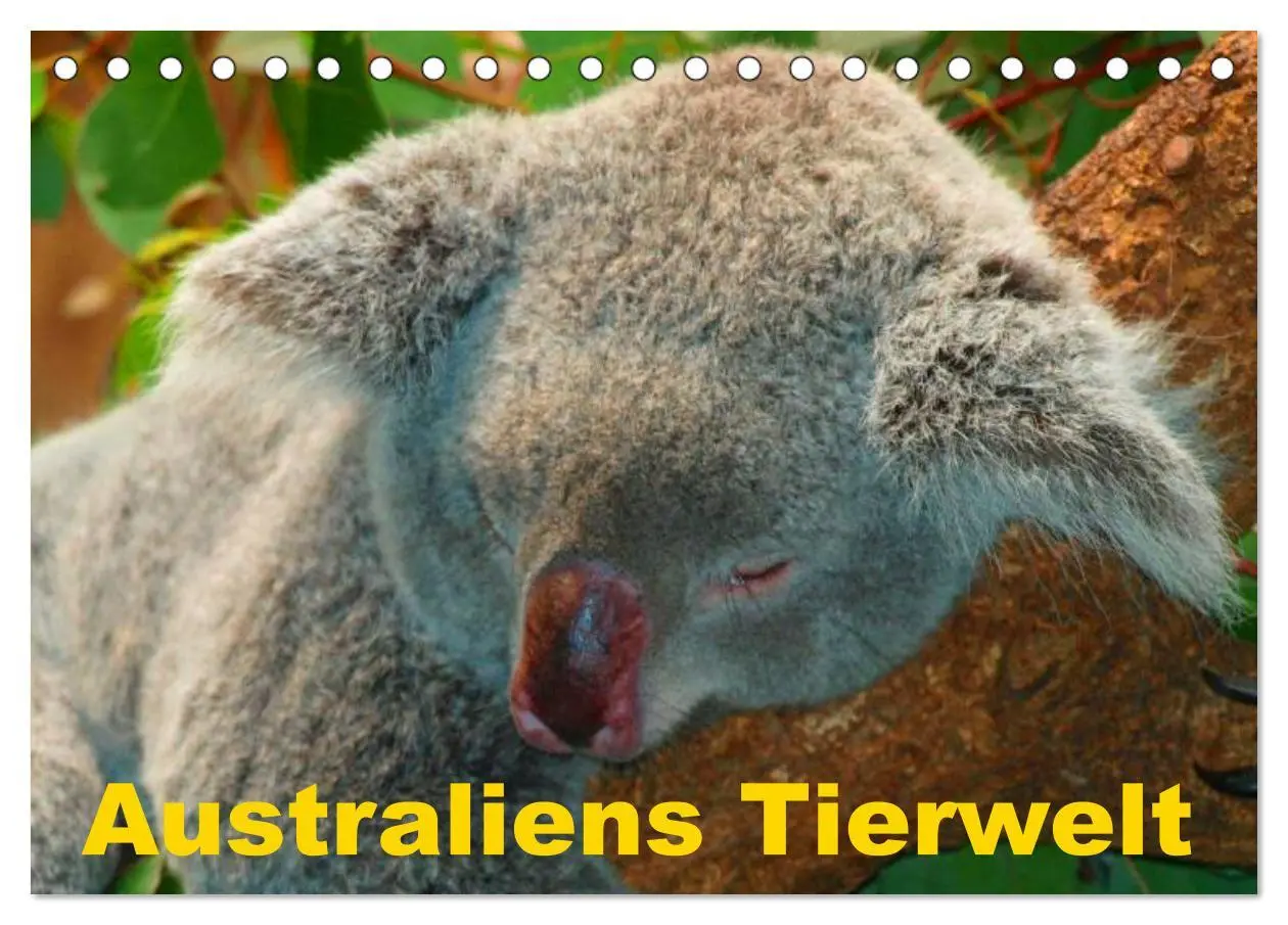 Cover: 9783516111545 | Australiens Tierwelt (Tischkalender 2026 DIN A5 quer), CALVENDO...