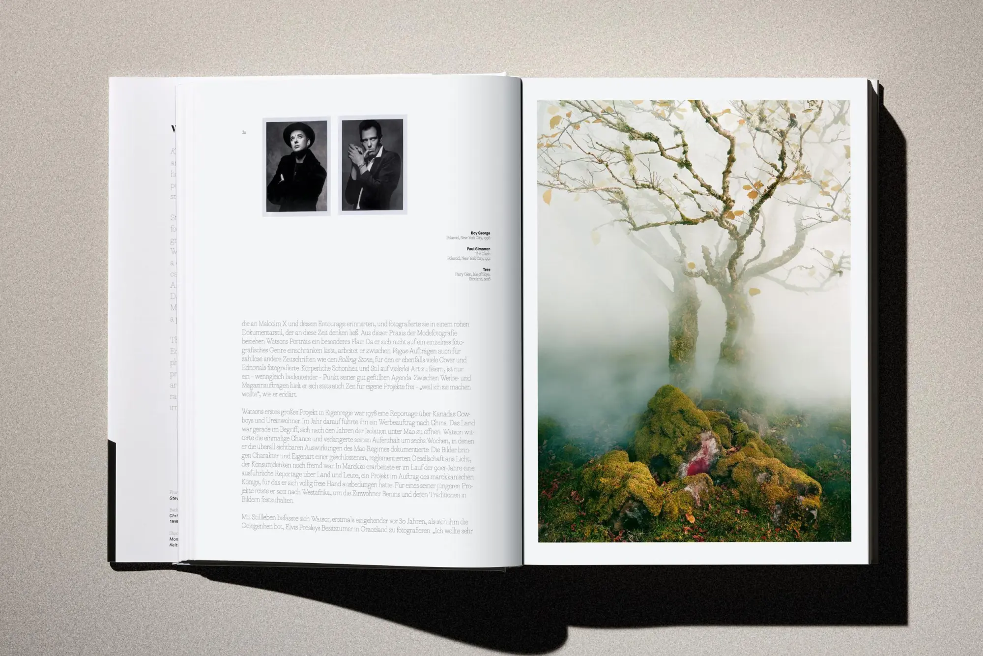 Bild: 9783754401545 | Albert Watson. Kaos | Albert Watson | Buch | Schuber | 408 S. | 2025