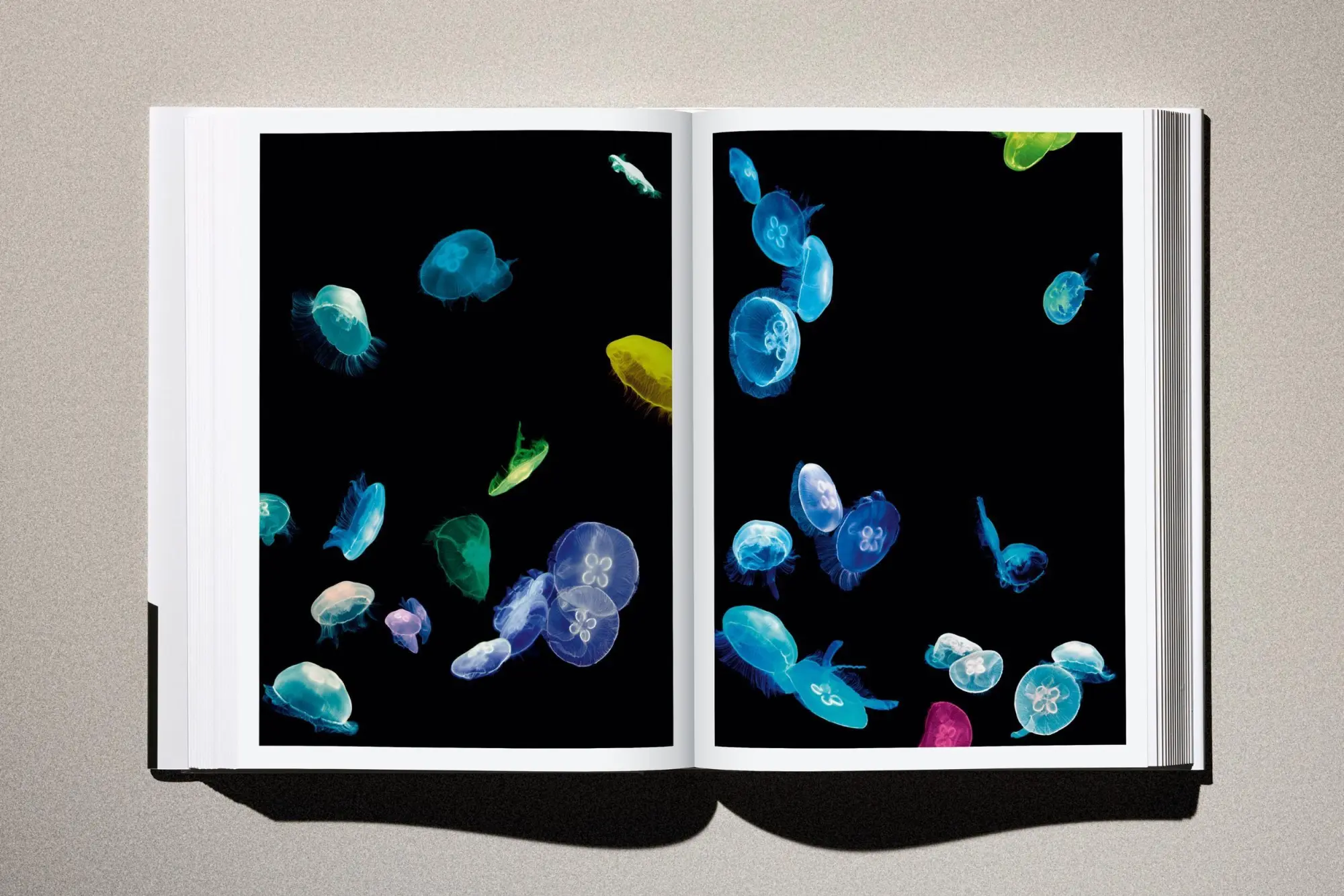 Bild: 9783754401545 | Albert Watson. Kaos | Albert Watson | Buch | Schuber | 408 S. | 2025