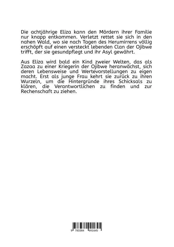 Bild: 9783384991645 | Biidaaban | Das erste Licht des Tages.DE | Andreas Passinger | Buch
