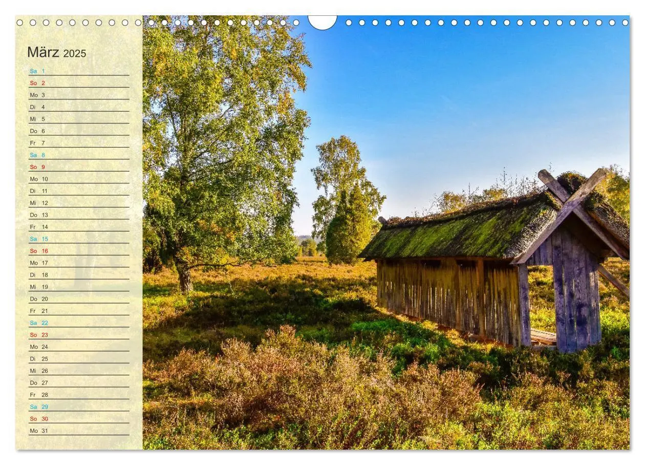 Bild: 9783435091645 | Die Heideblüte (Wandkalender 2025 DIN A3 quer), CALVENDO...