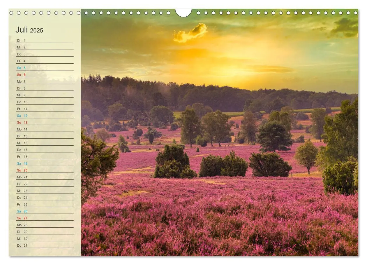 Bild: 9783435091645 | Die Heideblüte (Wandkalender 2025 DIN A3 quer), CALVENDO...
