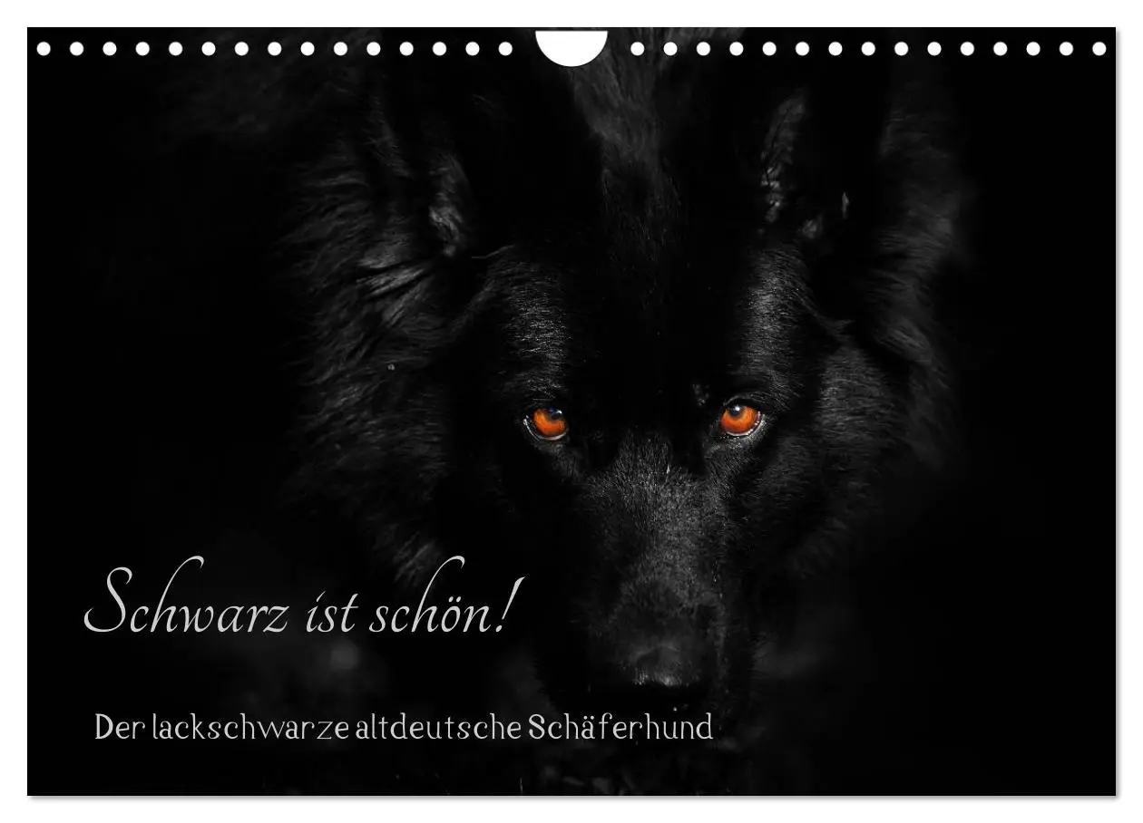 Cover: 9783516031645 | Schwarz ist schön! Der lackschwarze altdeutsche Schäferhund...