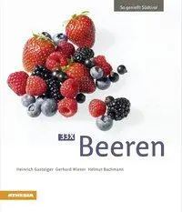 Cover: 9788868391645 | 33 x Beeren | Heinrich/Wieser, Gerhard/Bachmann, Helmut Gasteiger