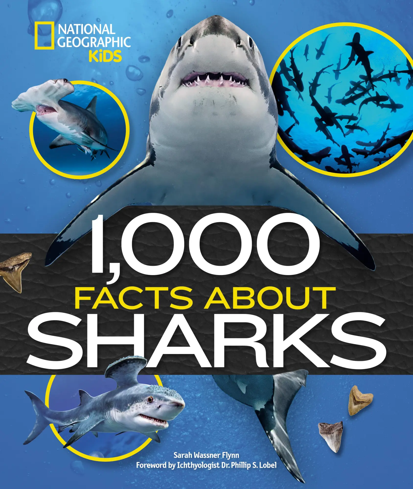 Cover: 9781426371745 | 1,000 Facts about Sharks | Sarah Wassner Flynn | Buch | Englisch