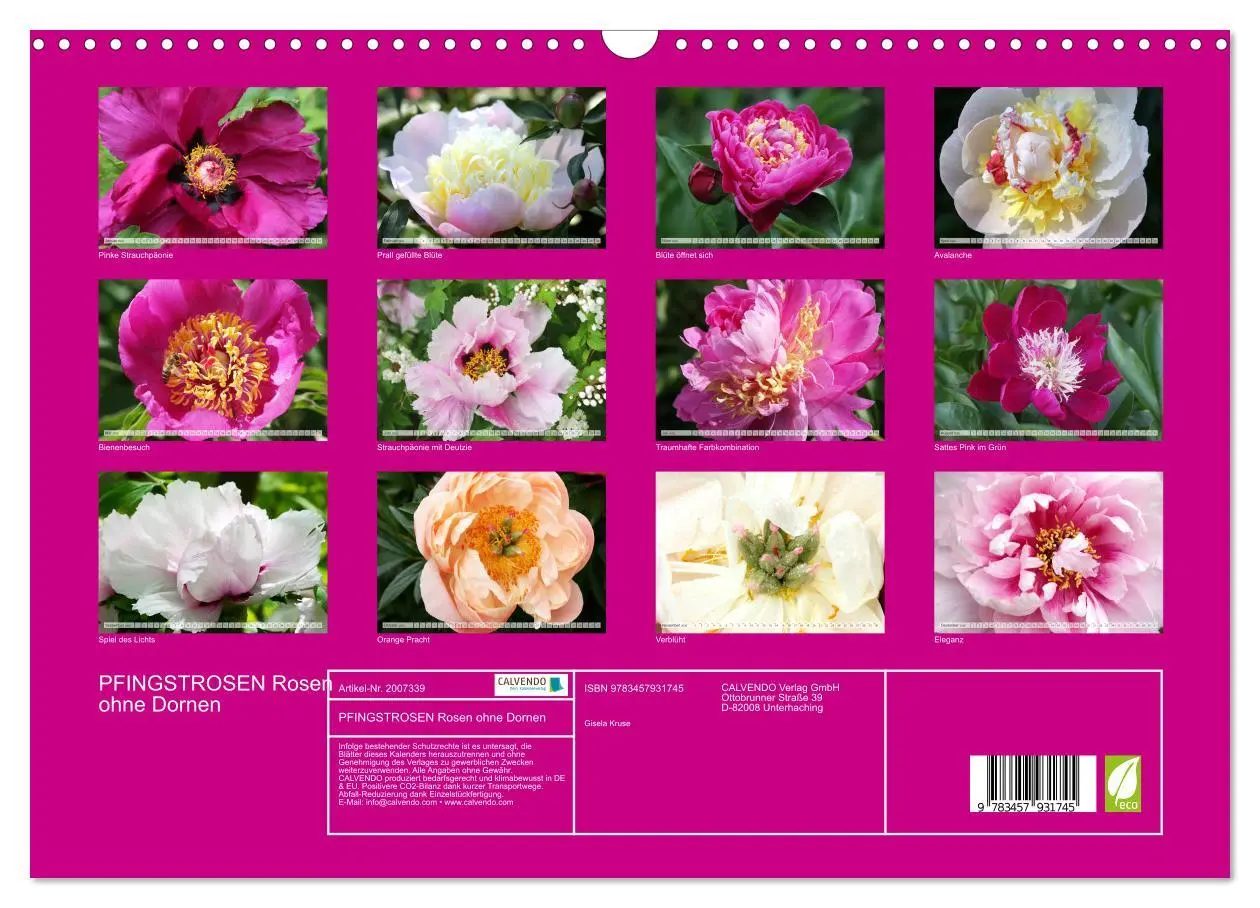 Bild: 9783457931745 | PFINGSTROSEN Rosen ohne Dornen (Wandkalender 2026 DIN A3 quer),...